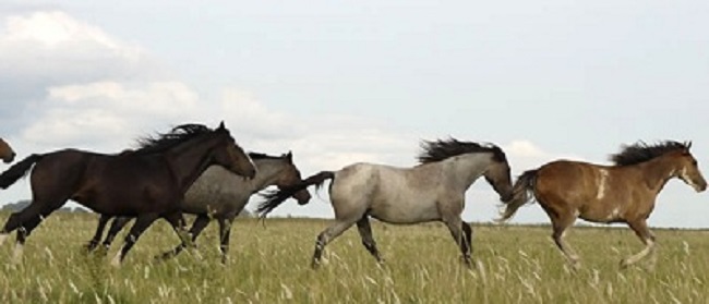 estancia La Margarita